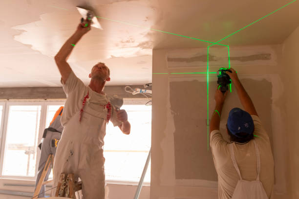 Best Mold Remediation for Healthcare Facilities  in Mammoth Spring, AR