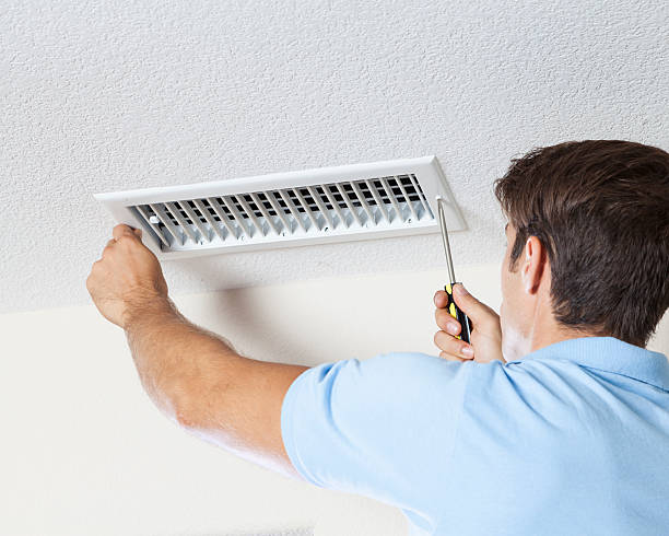 Best Mold Damage Restoration  in Mammoth Spring, AR