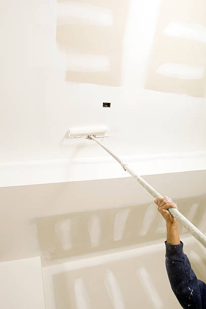Best Real Estate Mold Inspection  in Mammoth Spring, AR
