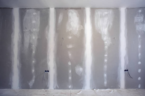 Best Mold Documentation for Insurance Claims  in Mammoth Spring, AR